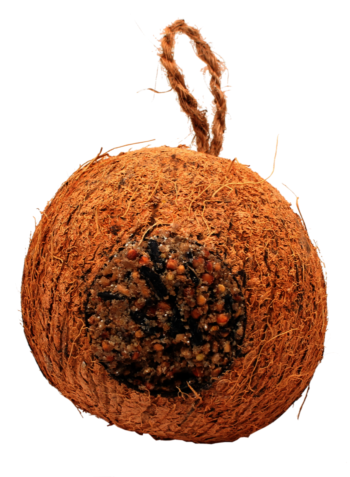ReNatura_Gefuellte_Kokosnuss_einzeln.png
