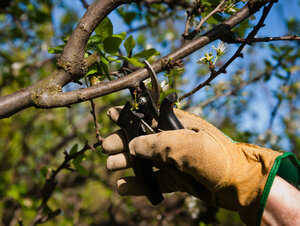 Brutzeit_Gartenarbeit_shutterstock_98970788.jpg