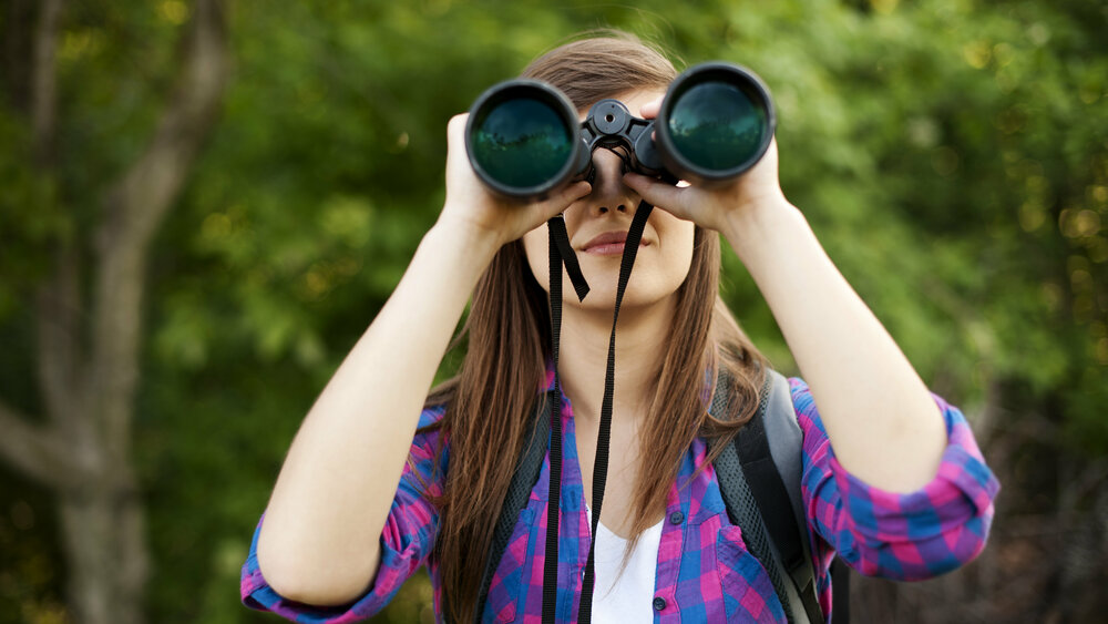 Frau beobachtet Vögel mit einem Fernglas Vogelbeobachtung_shutterstock_126072356.jpg
