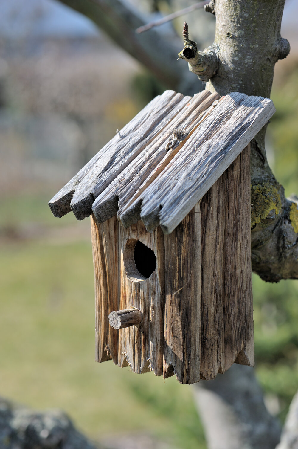 Nistkästen sollten stabil und sicher sein AdobeStock_31111828.jpeg