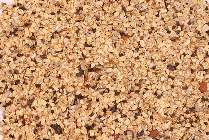 ReNatura Aktiv-Futter Aktiv-Futter.jpg