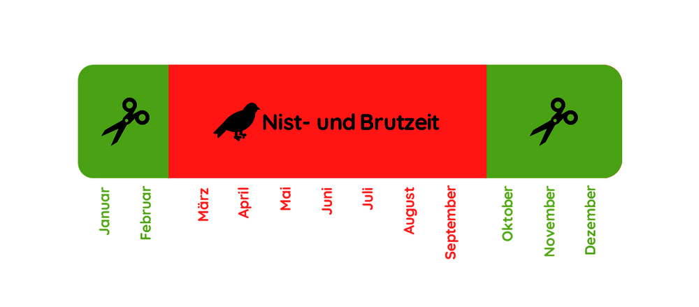 Die Nist- und Brutzeit geht vom 1. März bis zum 30. September Nist-_und_Brutzeit.png
